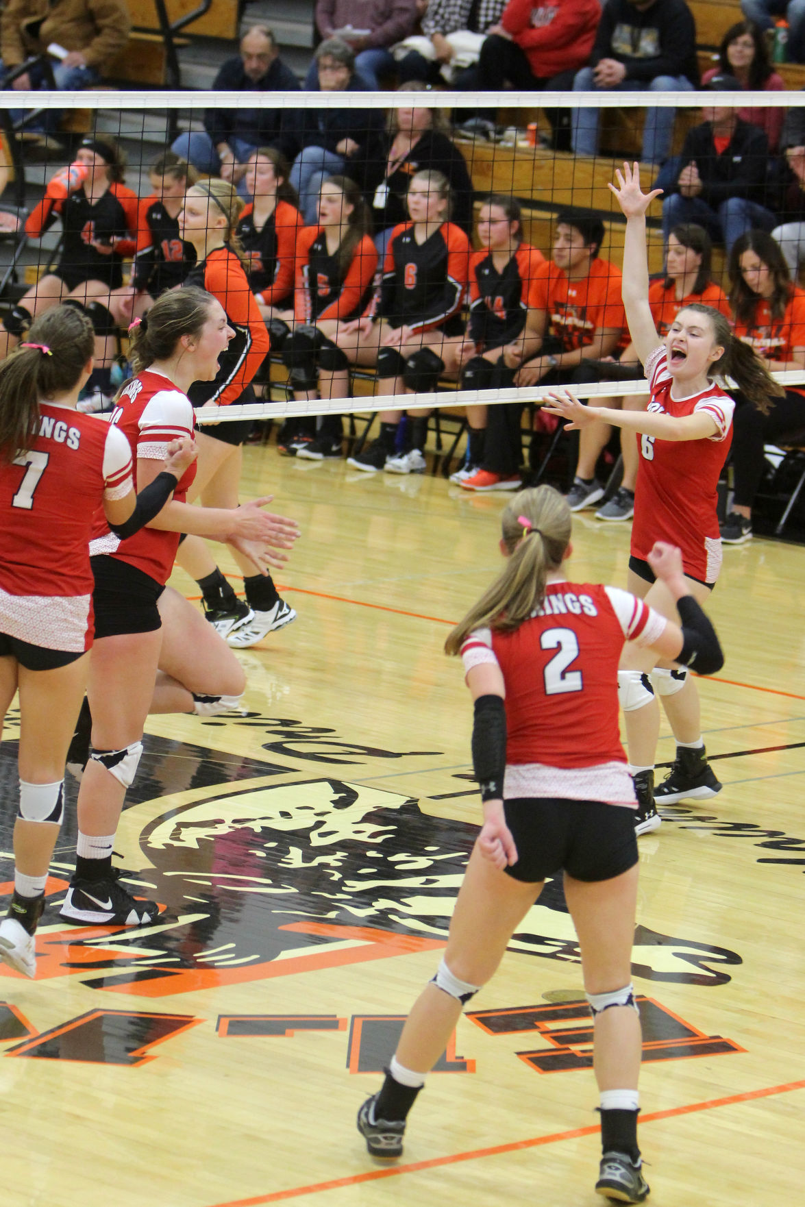 Colfax at Elk Mound volleyball 10-17-19